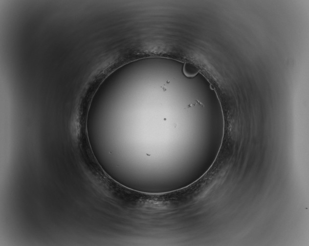 X0000093510635200710121532