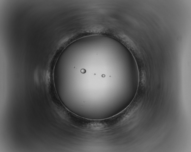 X0000093510636200710121532