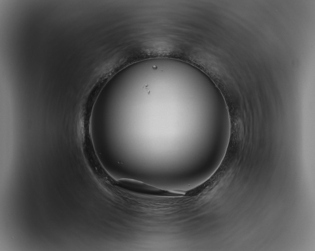 X0000093510638200710121532