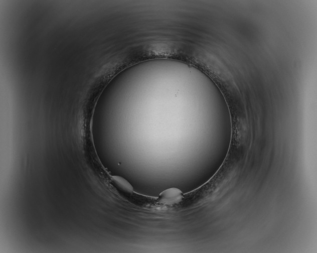 X0000093510639200710121532