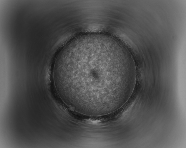 X0000093510640200710121532