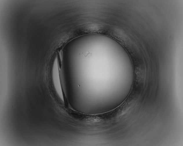 X0000093510642200710121532