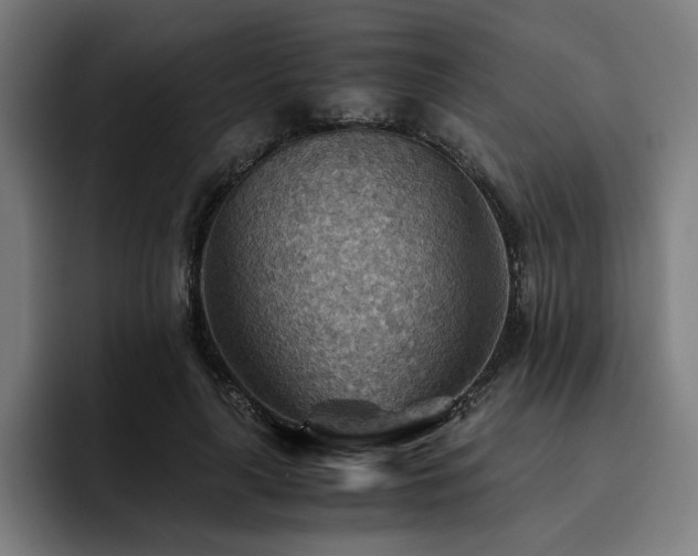 X0000093510643200710121532