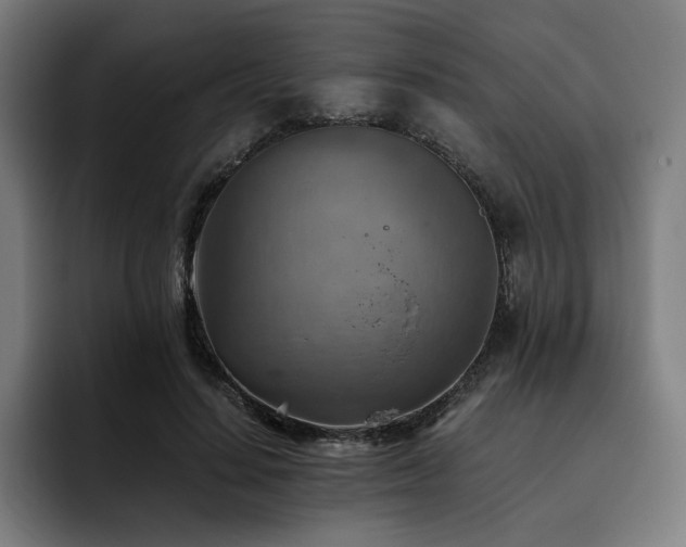 X0000093510644200710121532