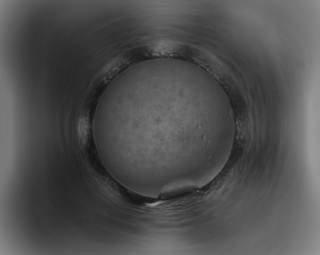 X0000093510648200710121532