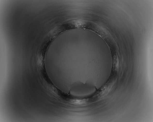 X0000093510650200710121532