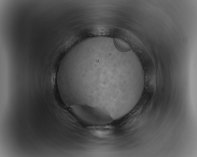 X0000093510652200710121532