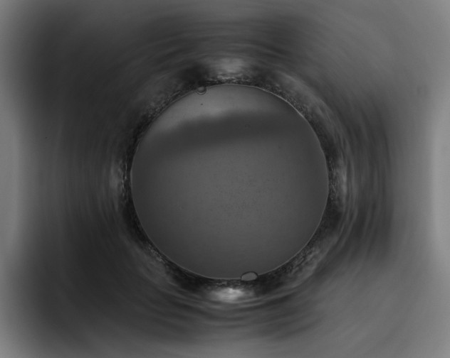 X0000093510653200710121532