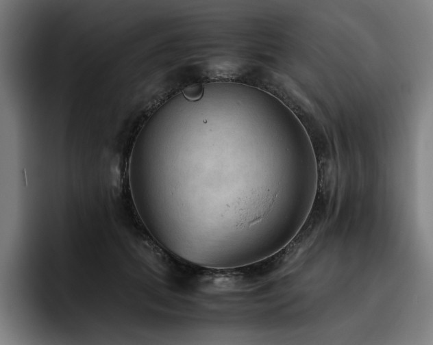 X0000093510655200710121532