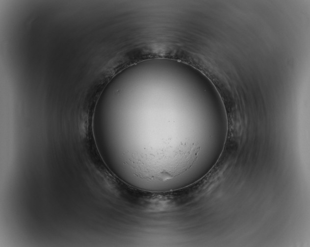 X0000093510656200710121532