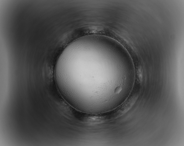 X0000093510657200710121532