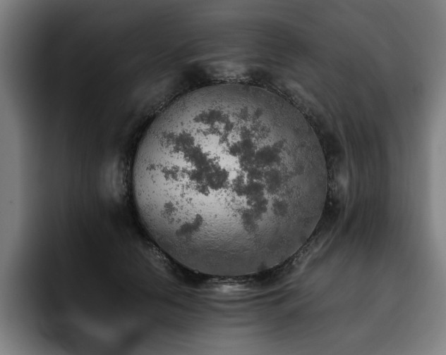 X0000093510658200710121532