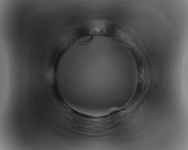 X0000093510659200710121532