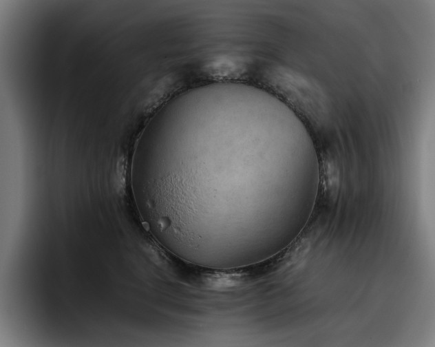 X0000093510664200710121532