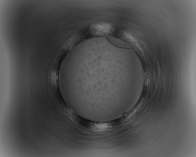 X0000093510669200710121532