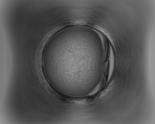 X0000093510673200710121532