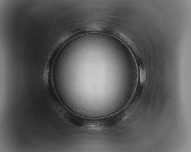 X0000093510675200710121532