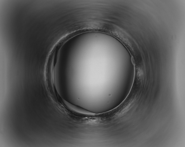 X0000093510676200710121532
