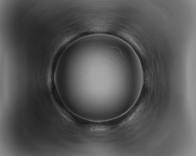 X0000093510677200710121532
