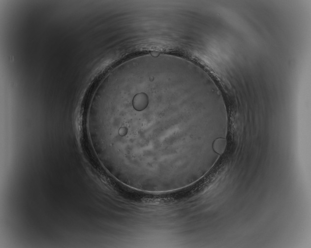 X0000093510679200710121532