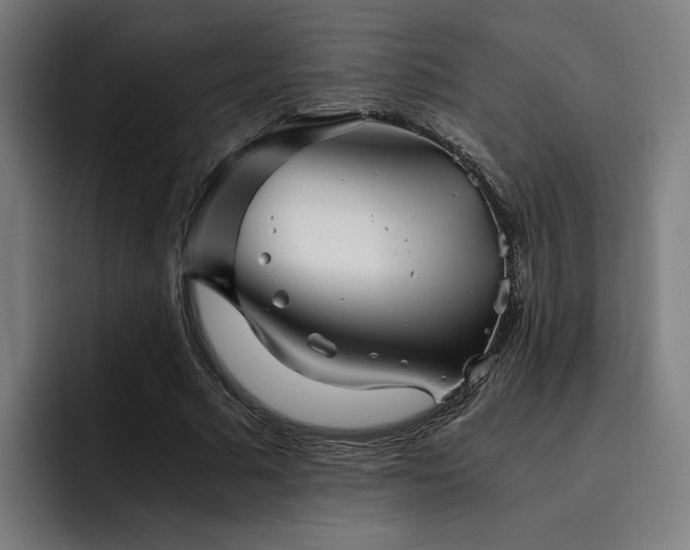 X0000093510681200710121532