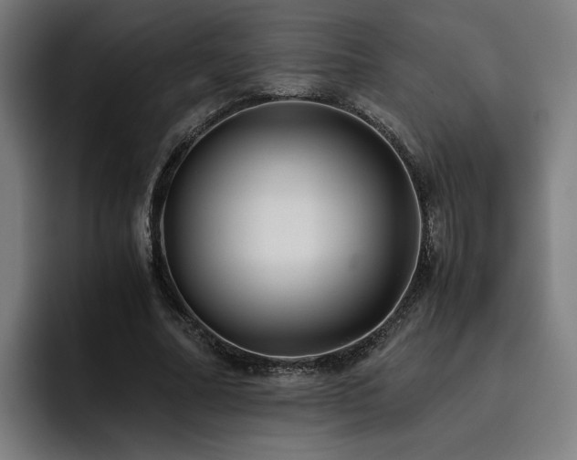 X0000093510682200710121532
