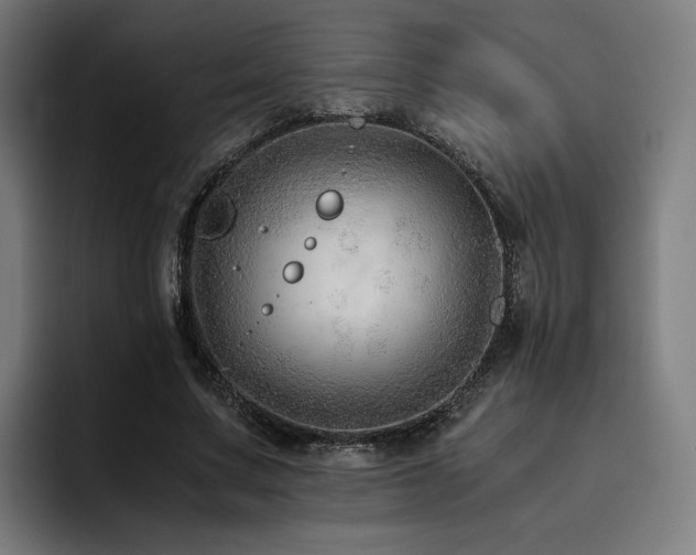 X0000093510683200710121532