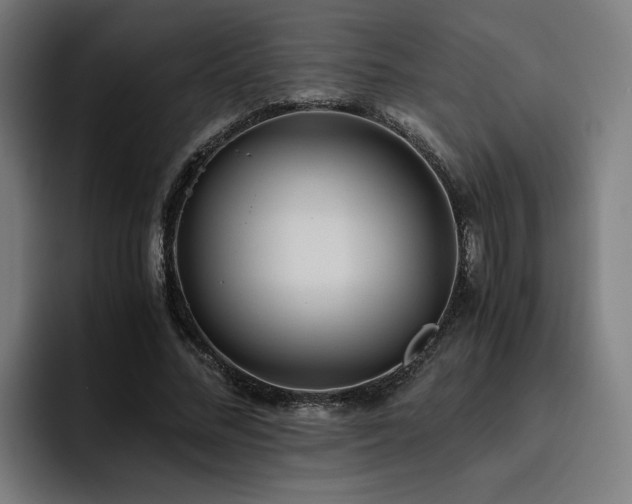 X0000093510684200710121532