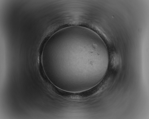 X0000093510685200710121532
