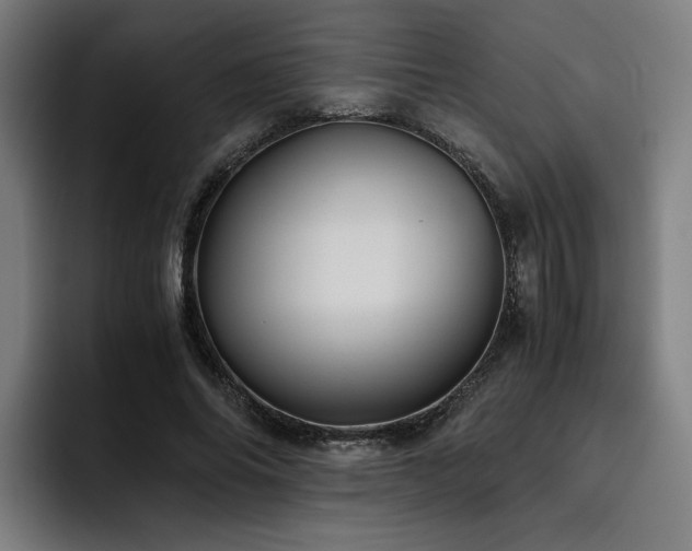 X0000093510686200710121532
