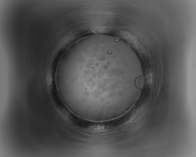 X0000093510687200710121532