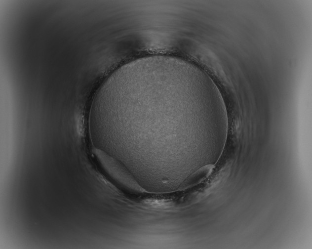 X0000093510689200710121532