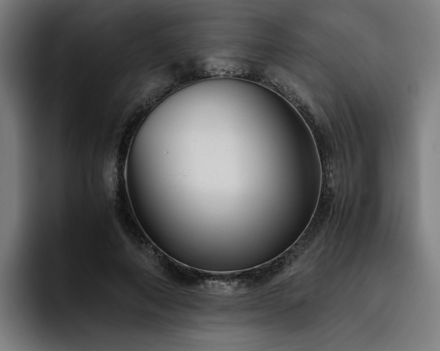 X0000093510690200710121532