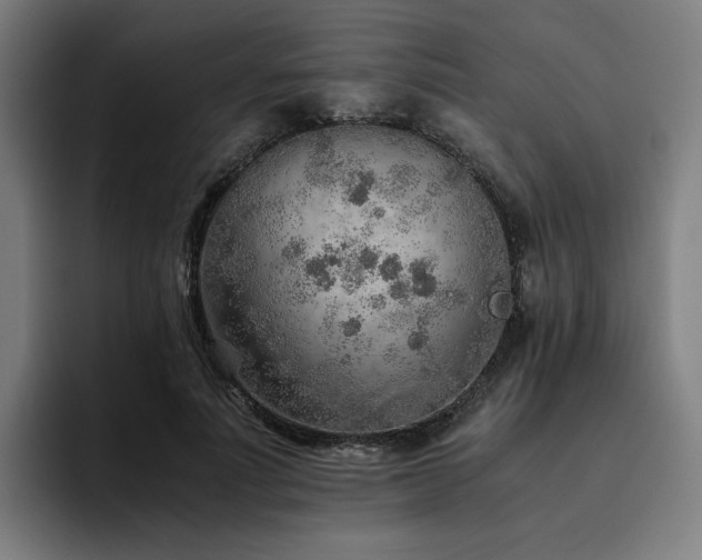 X0000093510691200710121532