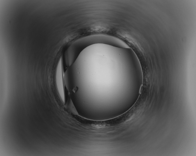 X0000093510693200710121532