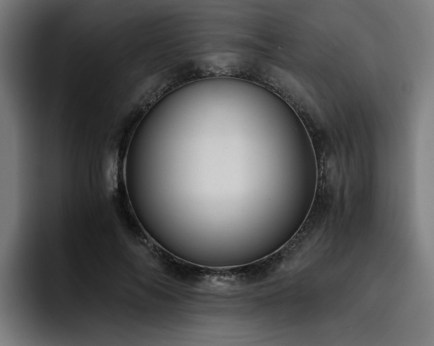 X0000093510694200710121532