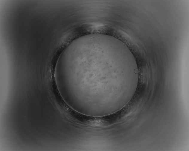 X0000093510695200710121532