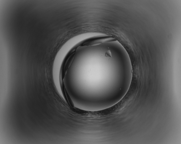 X0000093510697200710121532
