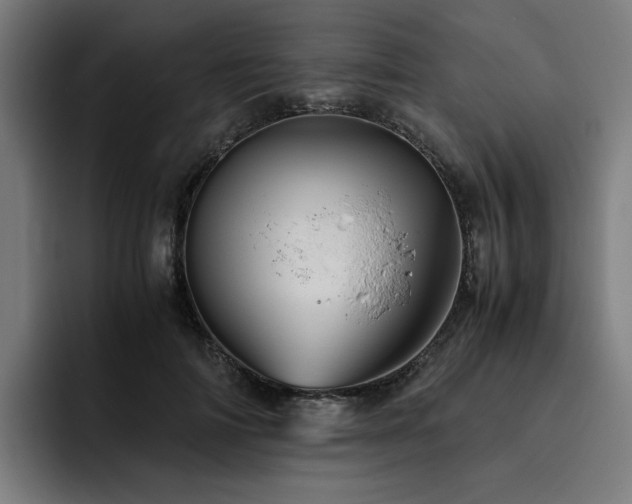 X0000093510698200710121532