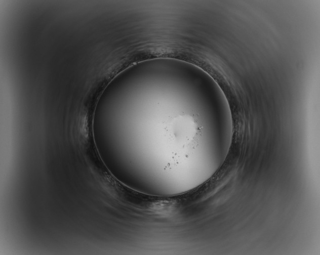 X0000093510700200710121532