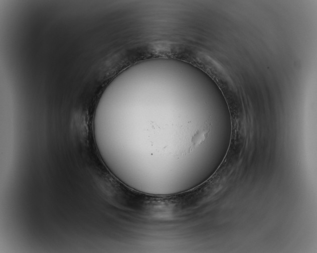 X0000093510702200710121532