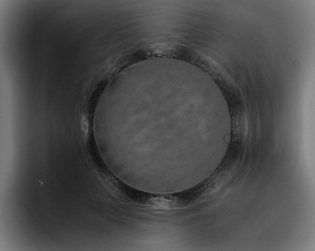 X0000093510703200710121532