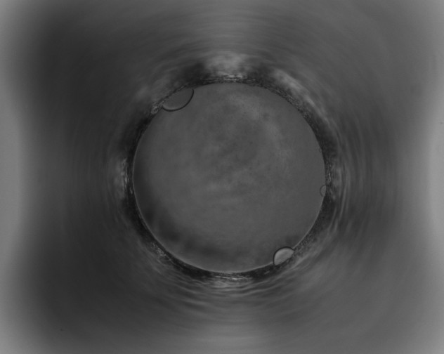 X0000093510707200710121531