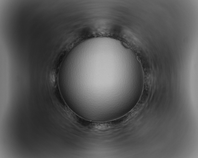 X0000093510709200710121531