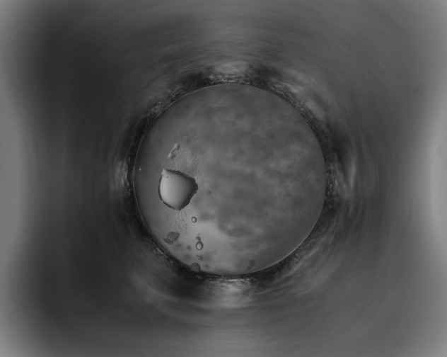 X0000093510711200710121531
