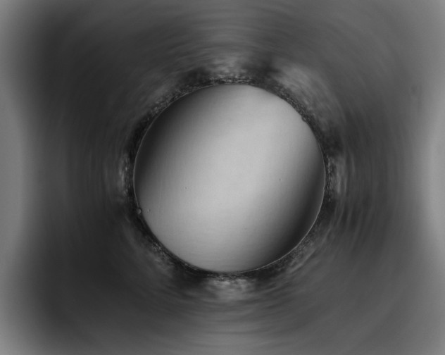 X0000093510712200710121531