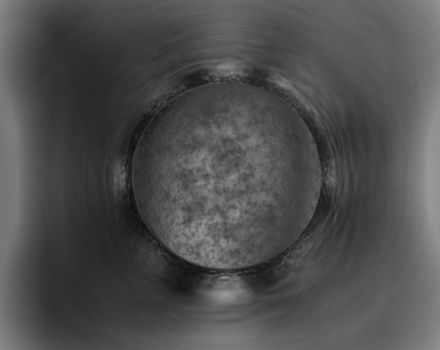 X0000093510715200710121531