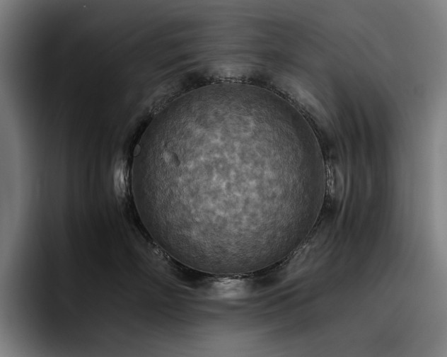 X0000093510718200710121531