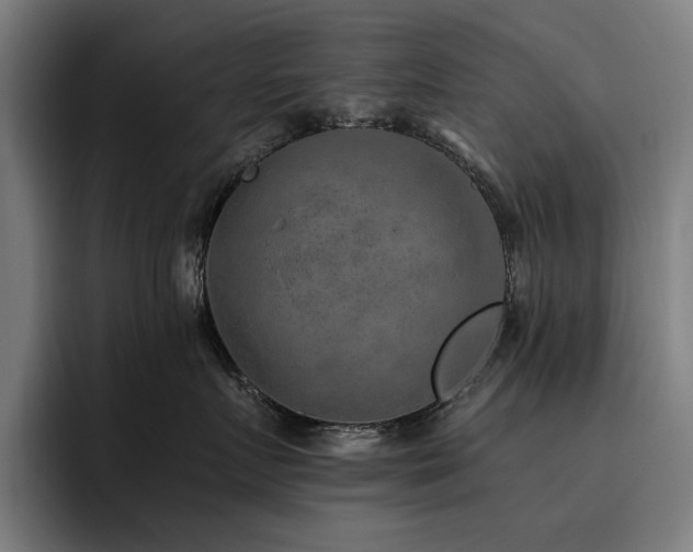 X0000093510719200710121531