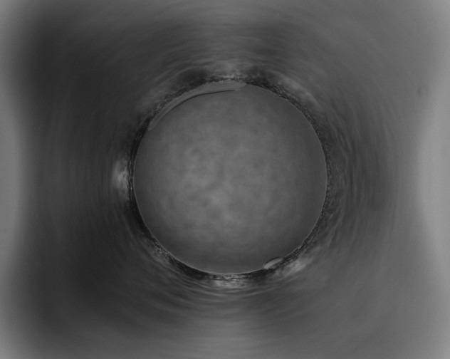 X0000093510720200710121531